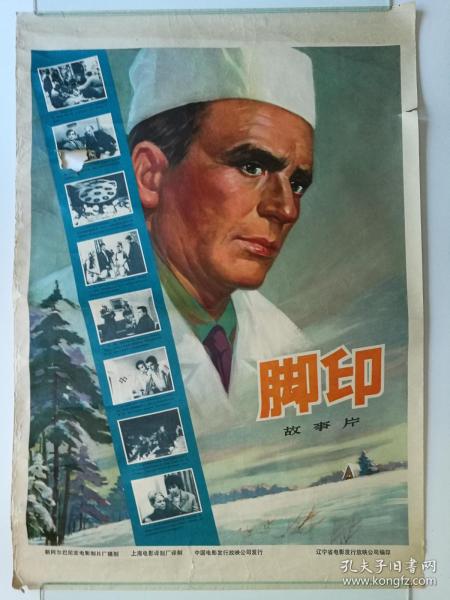南安普敦城市学院学位证电子图